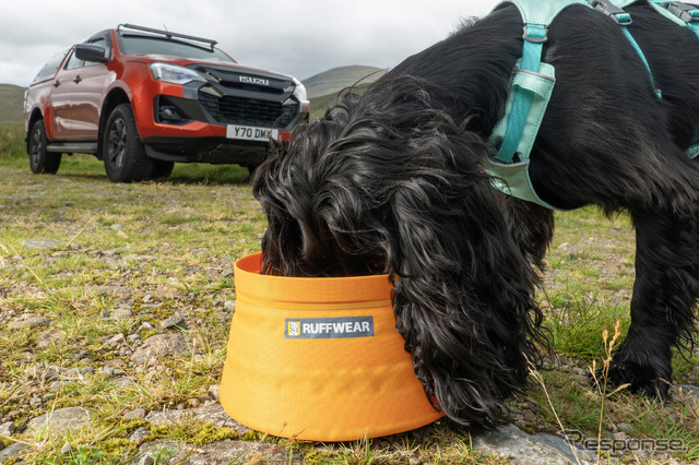 「いすゞD-Max×Ruffwearコレクション」