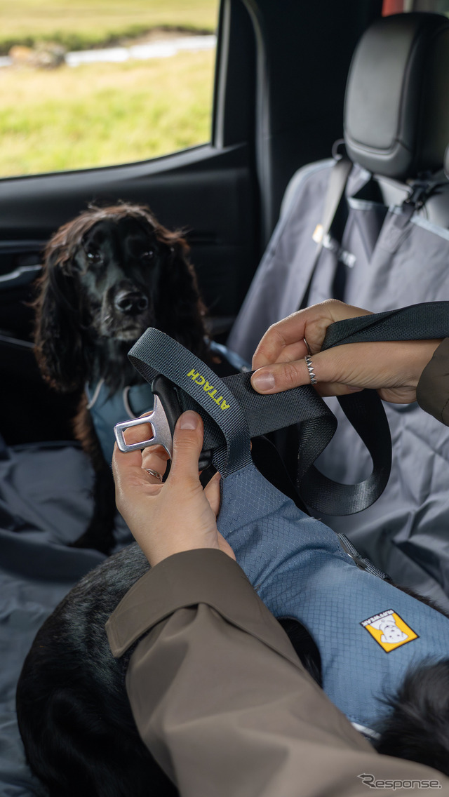 「いすゞD-Max×Ruffwearコレクション」