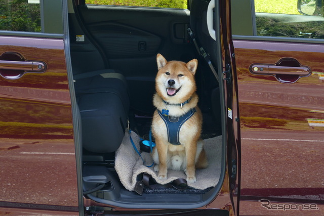 スズキ・ソリオ バンディット HYBRID MV