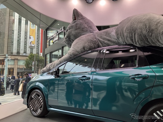 3メートルの猫