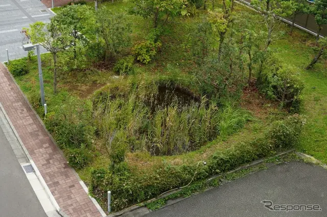 JVCケンウッド敷地内の「とんぼ池」