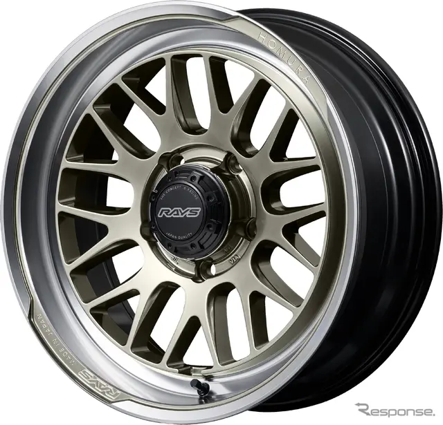 レイズ ホムラ 2x9L-RA グレイスゴールド/リムDMC