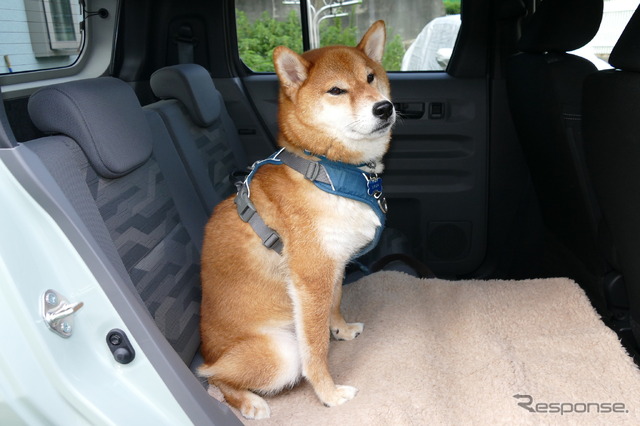 ダイハツ タフト Gターボ ダーククロームベンチャー