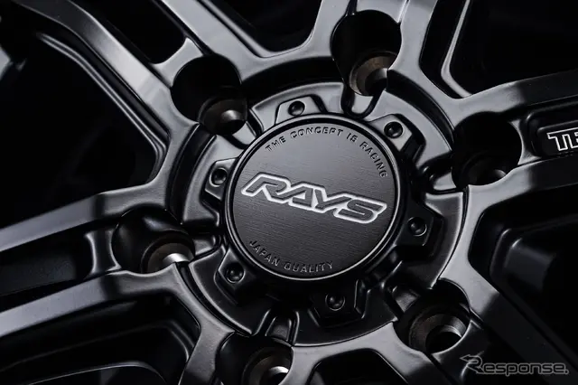 RAYS チームデイトナ FDX-AG セミグロスブラック