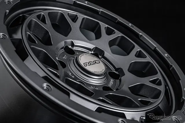 RAYS チームデイトナ M9+ SPEC-M セミグロススーパーダークガンメタ