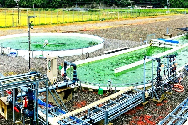 熊本県天草市では、廃校となった中学校を再生し、藻類培養施設として活用