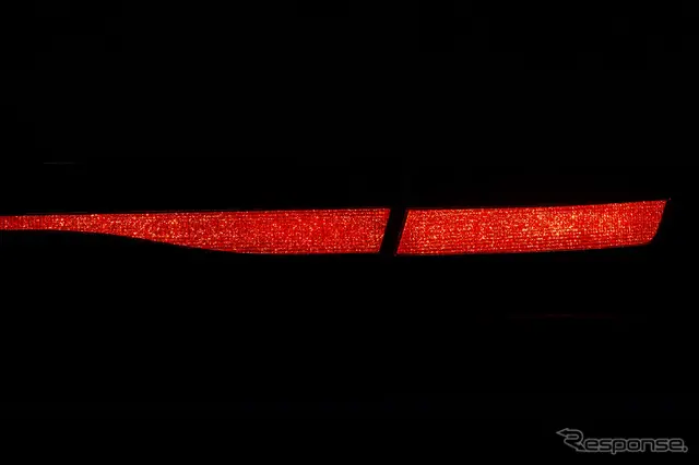 粒状面発光リアランプ