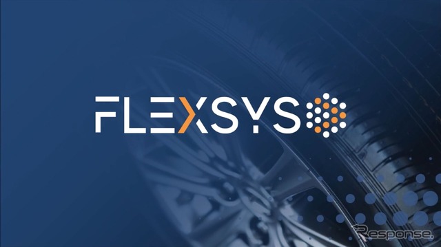 業界初の6PPD代替品を開発したフレクシス