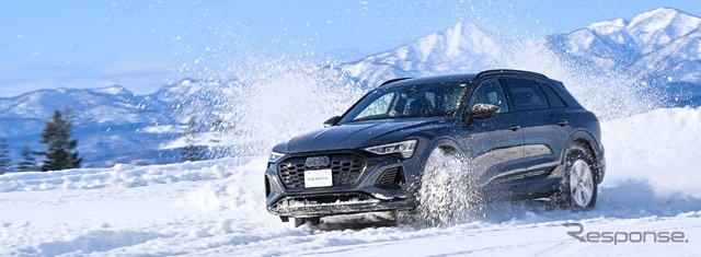 氷上のドライビングエクスペリエンス　Audi Snow Park