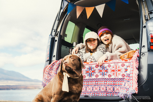 DAMDフリード・アイソレーター