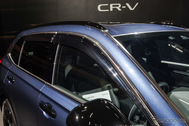 シルバー加飾が入ったドアバイザー