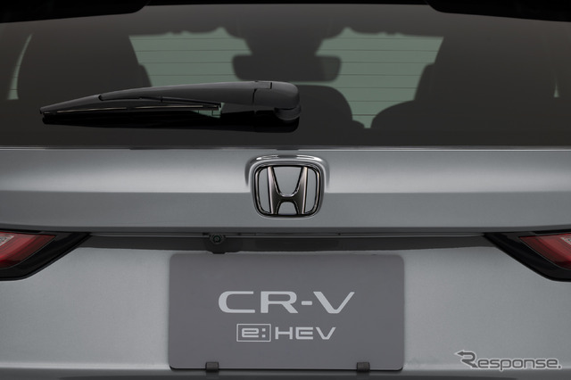 定番の「ブラックエンブレム」