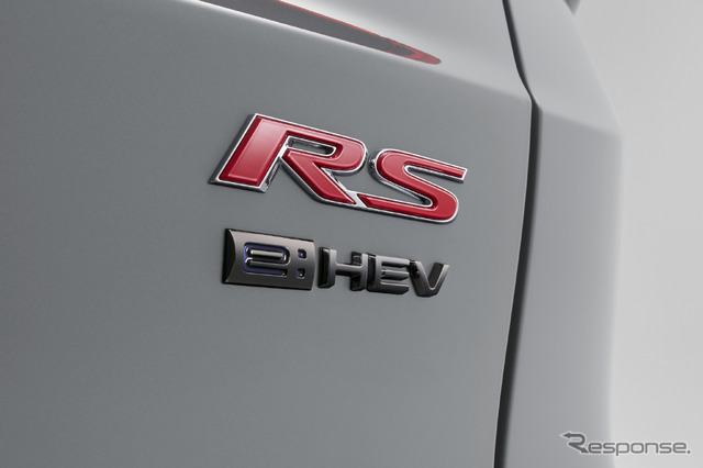 定番の「ブラックエンブレム」