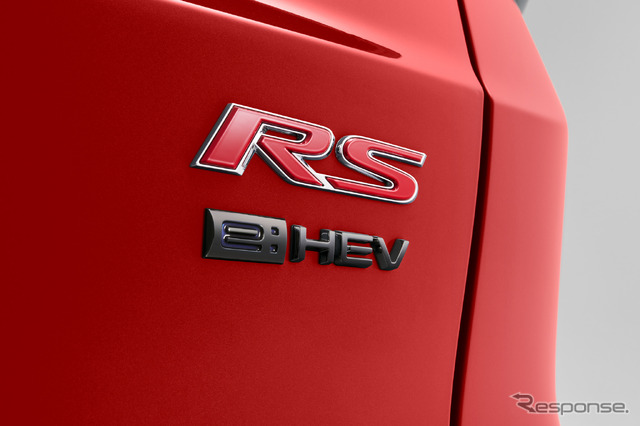 定番の「ブラックエンブレム」