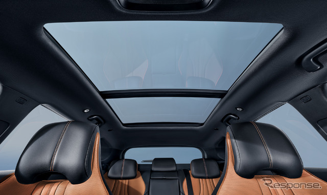 BYD シーライオン6