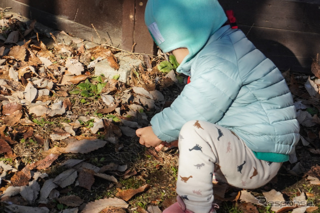 ホンダが株主優待として12月6・7日に開催した「モビリティリゾートもてぎ体験会」