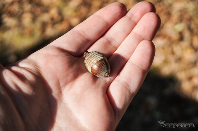 ホンダが株主優待として12月6・7日に開催した「モビリティリゾートもてぎ体験会」