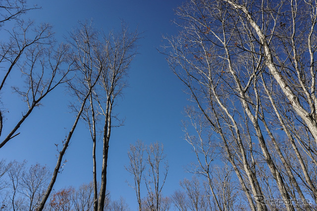 ホンダが株主優待として12月6・7日に開催した「モビリティリゾートもてぎ体験会」