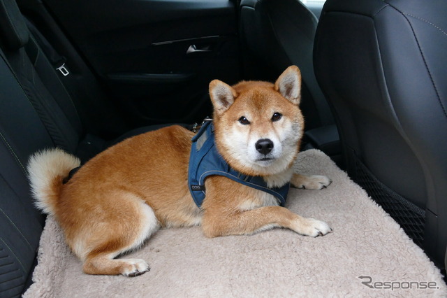 プジョー 2008 GT Hybrid