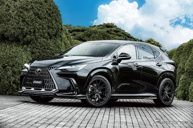 レイズ RSS HOMURA 2×7FT（グロッシーブラック）× レクサス NX