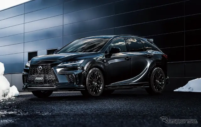 レイズ RSS HOMURA 2×9R（グロッシーブラック）× レクサス RX