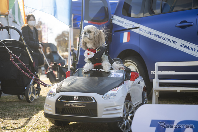 トーヨータイヤ…Sippo Festa（しっぽフェスタ）2025