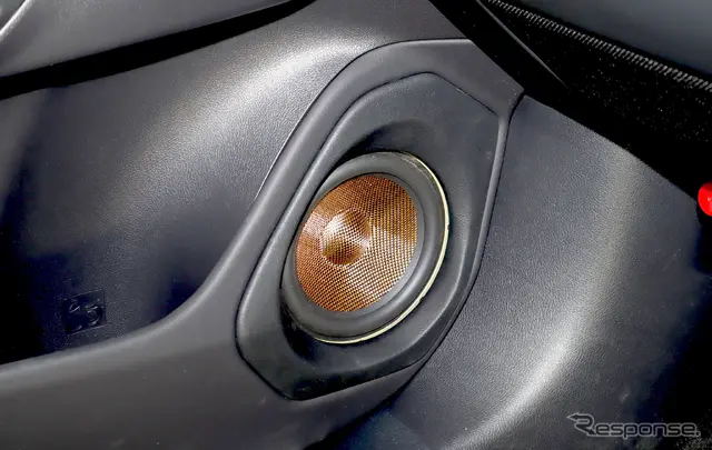 ウィステリア レクサス RX500h