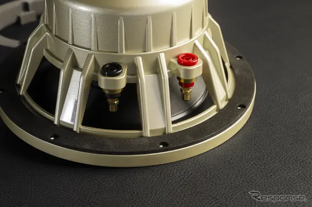 BEWITH Confidence GOLD