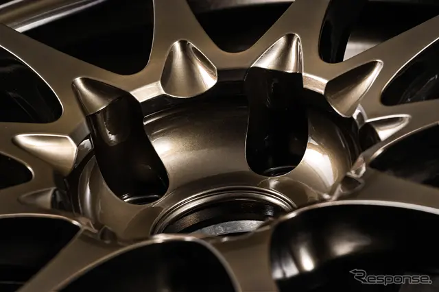 RAYS VOLK RACING「CE28N-plus」