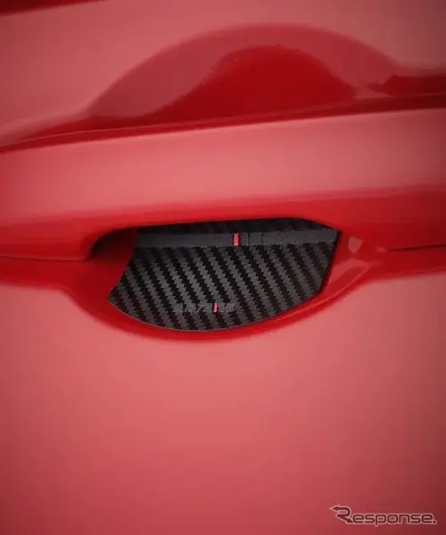 ARTA ドアハンドルプロテクター（2枚入り）