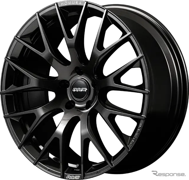 レイズ ホムラ 2×9R スーパーダークガンメタ（21インチ9.1J +45）