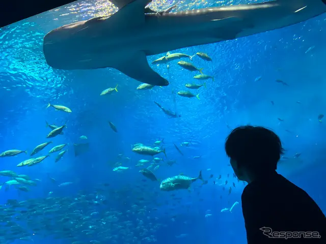 免許不要の近距離モビリティ「WHILL」を沖縄美ら海水族館に導入