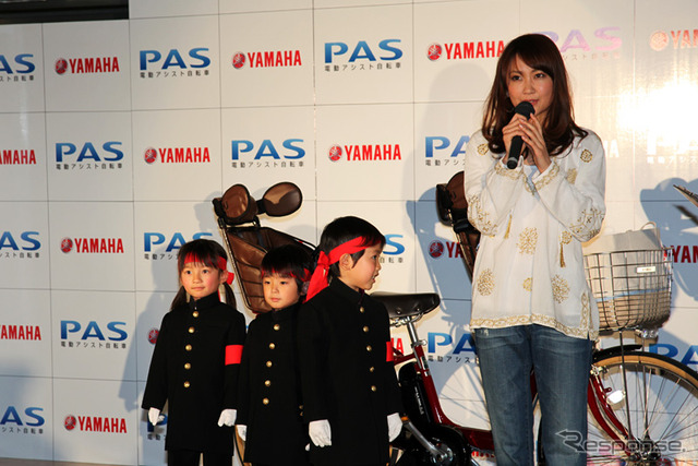 PAS 2010年モデル