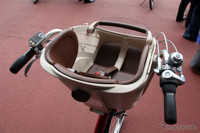 PAS 2010年モデル