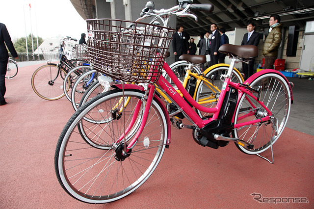 PAS 2010年モデル