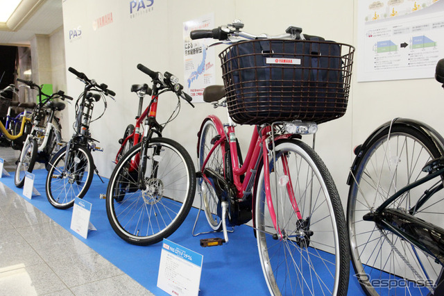 PAS 2010年モデル