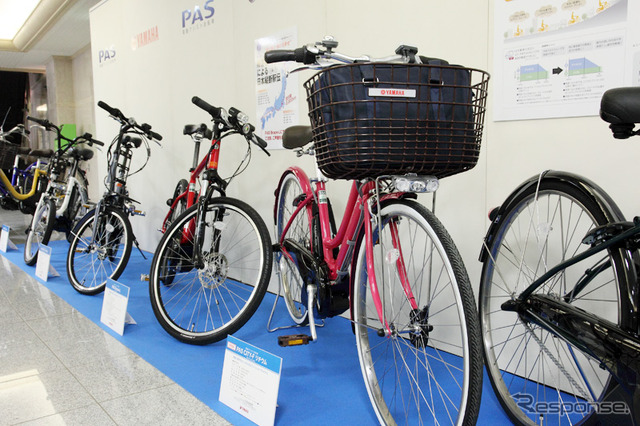 PAS 2010年モデル