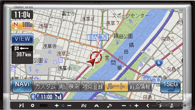 NX309