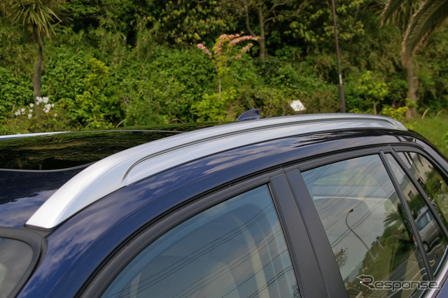 X1 xDrive 25i(18インチホイール)