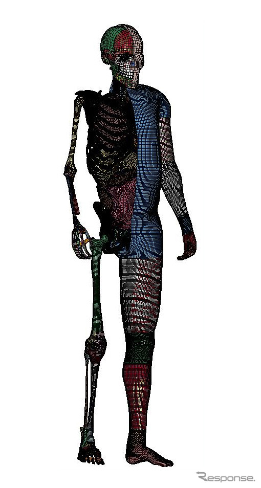 THUMS Version4
