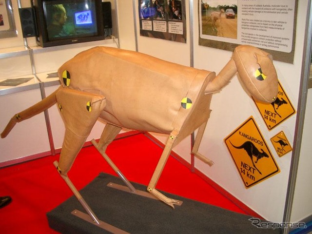 【ESV国際会議】おっと、カンガルーのダミーを発見!!