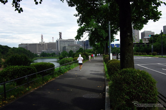 東京・皇居周辺で開催されたEfficientDynamics Run dayの模様