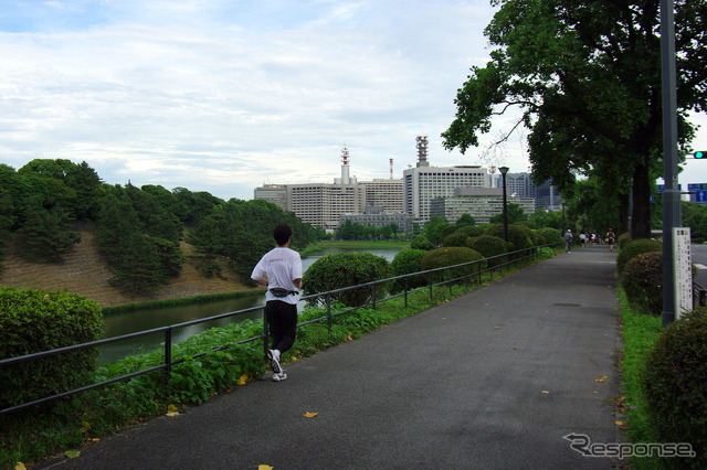 東京・皇居周辺で開催されたEfficientDynamics Run dayの模様