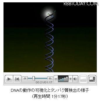 約1分の動画も公開中 約1分の動画も公開中