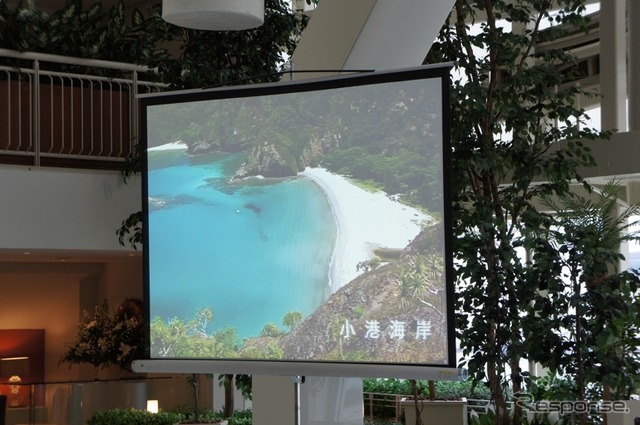 小笠原諸島のユネスコによる世界自然遺産登録の実現を目指す