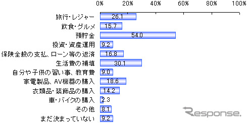 今年の冬のボーナスの用途複数選択