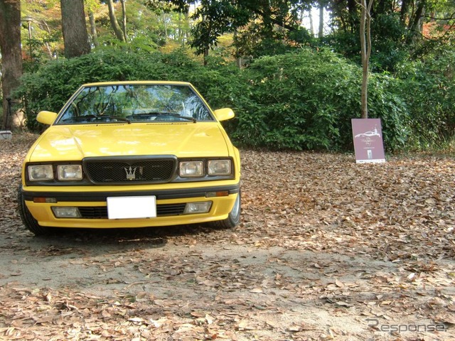 珍しい黄色の222SE