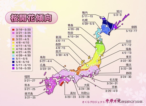 さくらプロジェクトのウェブサイトで公開された開花傾向