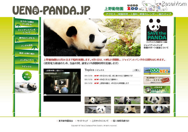 どうして白黒なの？　まもなく公開のパンダを研究 UENO-PANDA.JP
