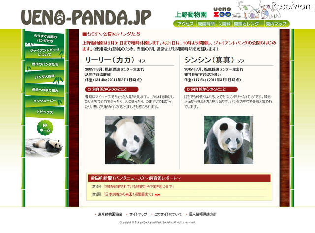 どうして白黒なの？　まもなく公開のパンダを研究 UENO-PANDA.JP